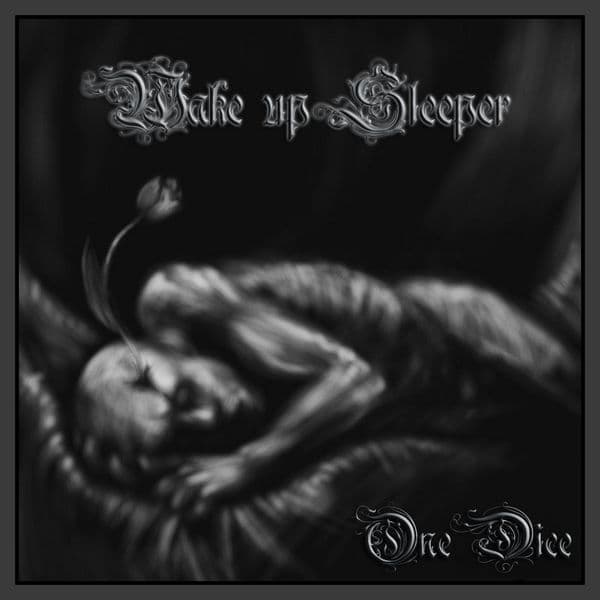Wake Up Sleeper