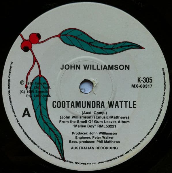 Cootamundra Wattle