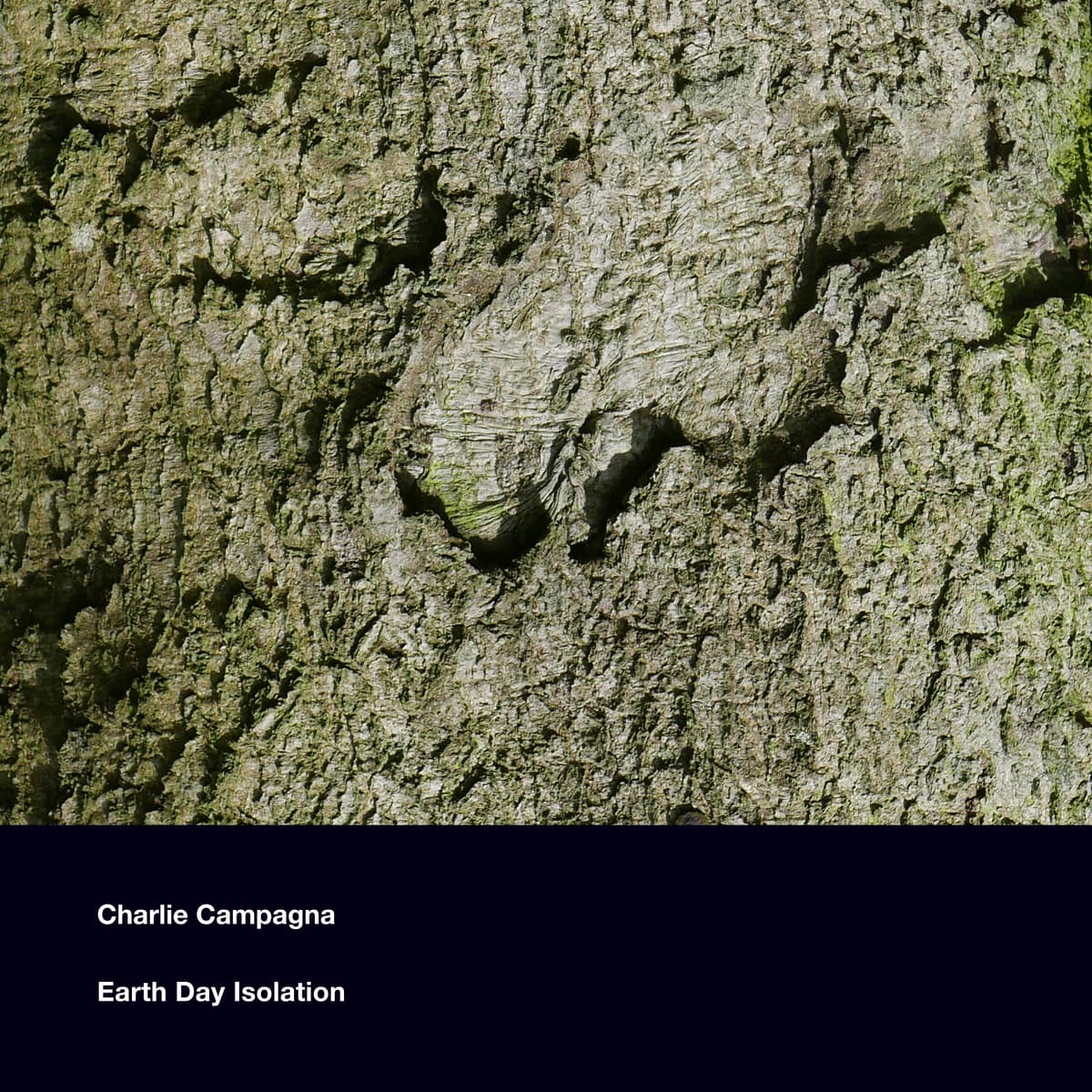 Earth Day Isolation