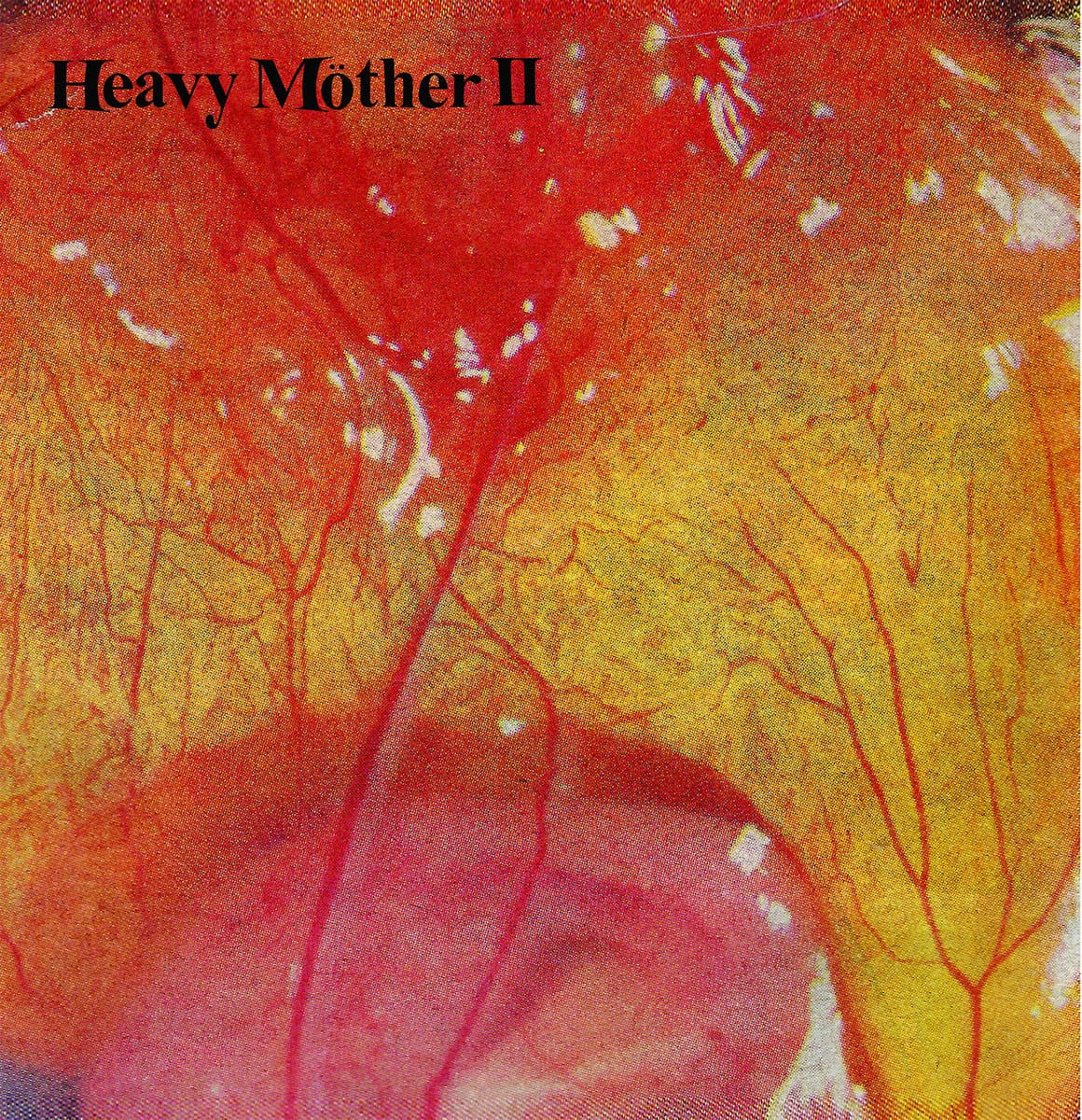 Heavy Möther II