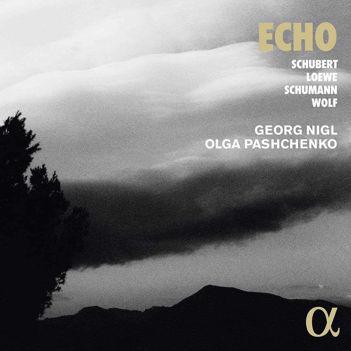 Echo