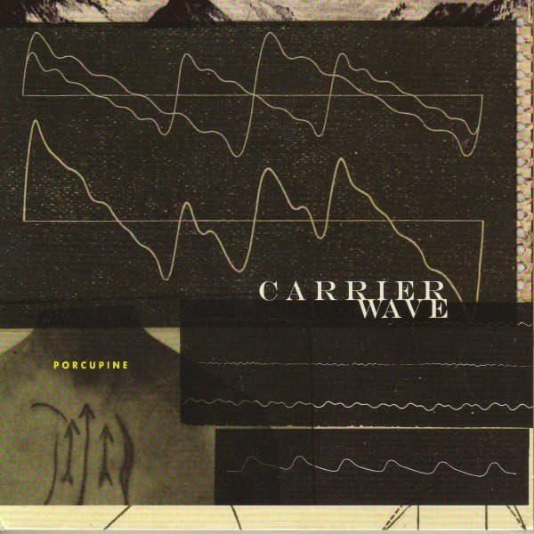 Carrier Wave (Remaster)