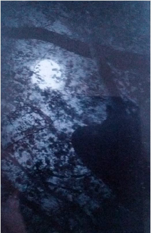 Depths of Night: Collection of the Early Demo Tapes