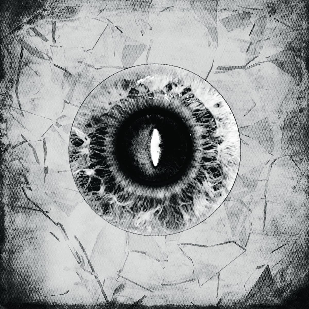 Illusive Landscape Of Expression