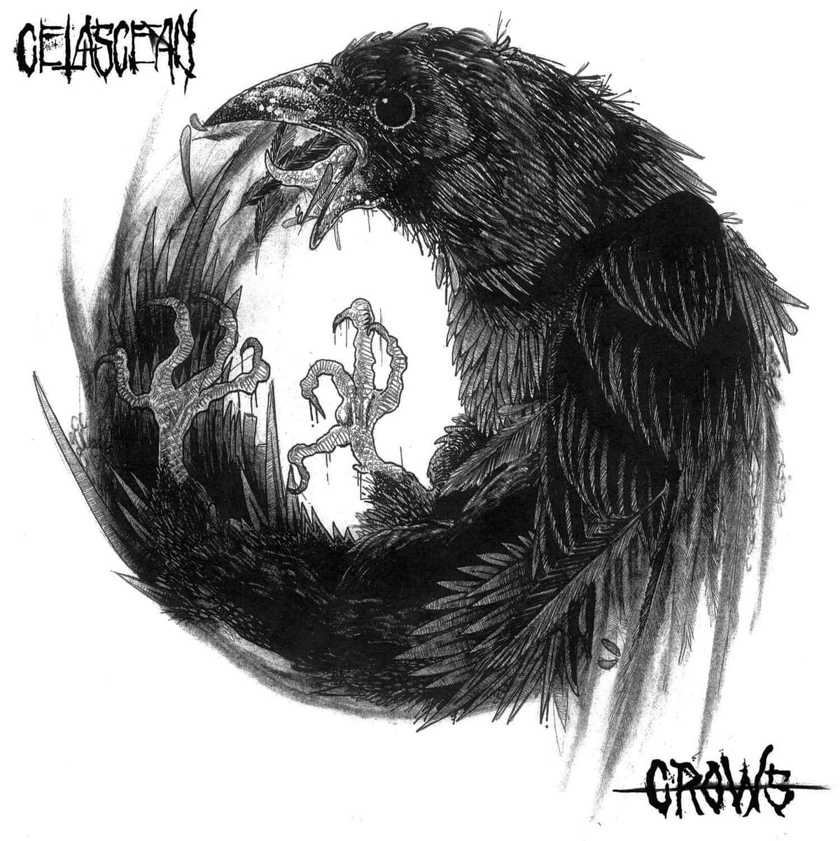CROWS