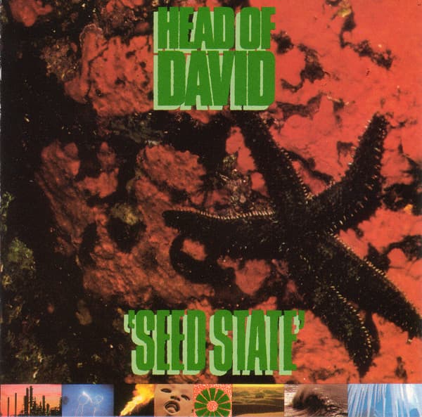 Seed State