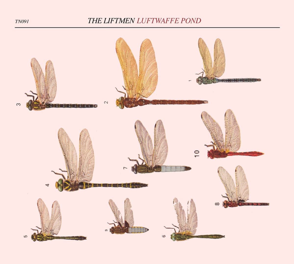 Luftwaffe Pond