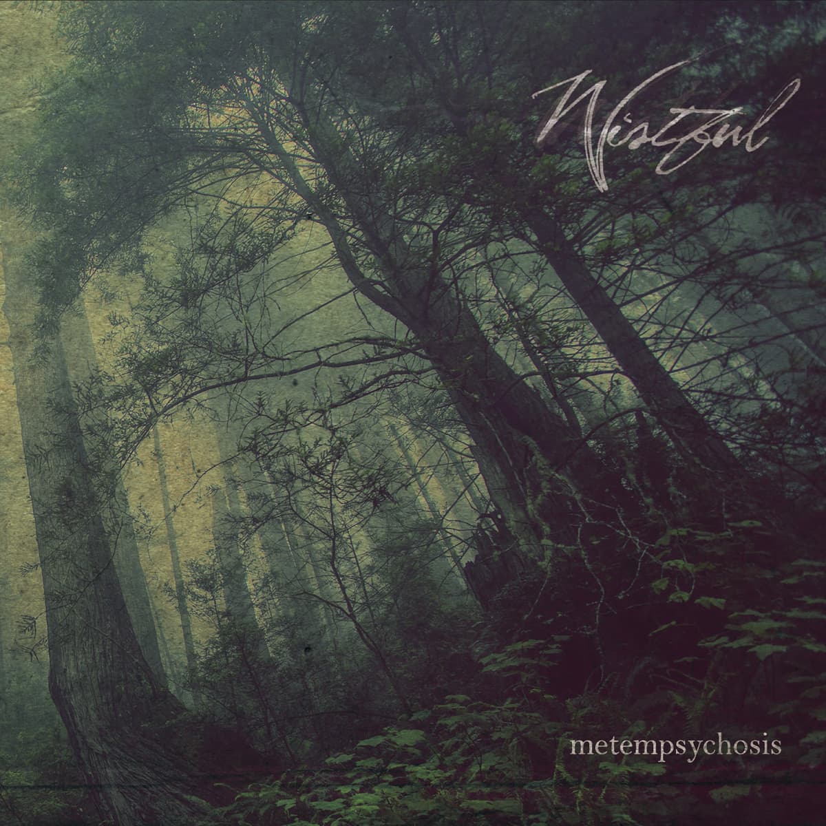 Metempsychosis