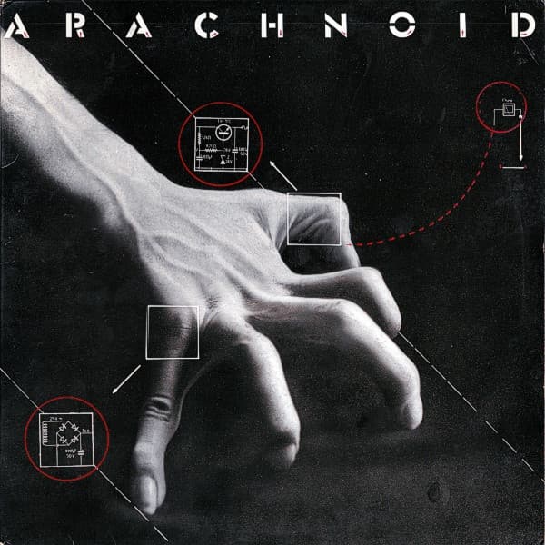 Arachnoid