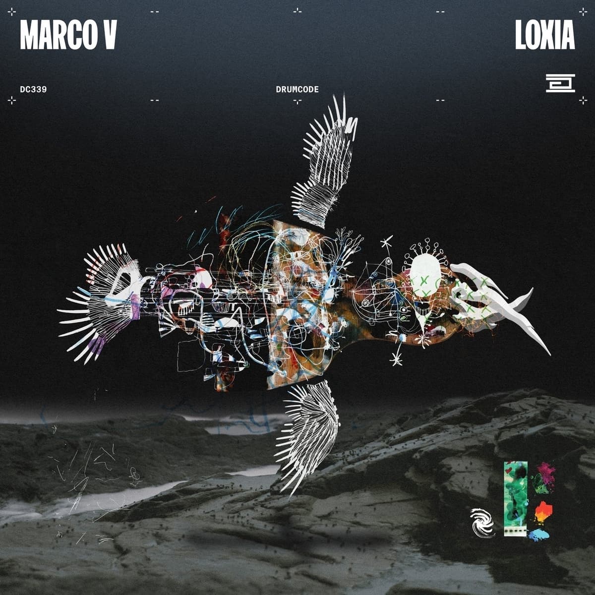 Loxia