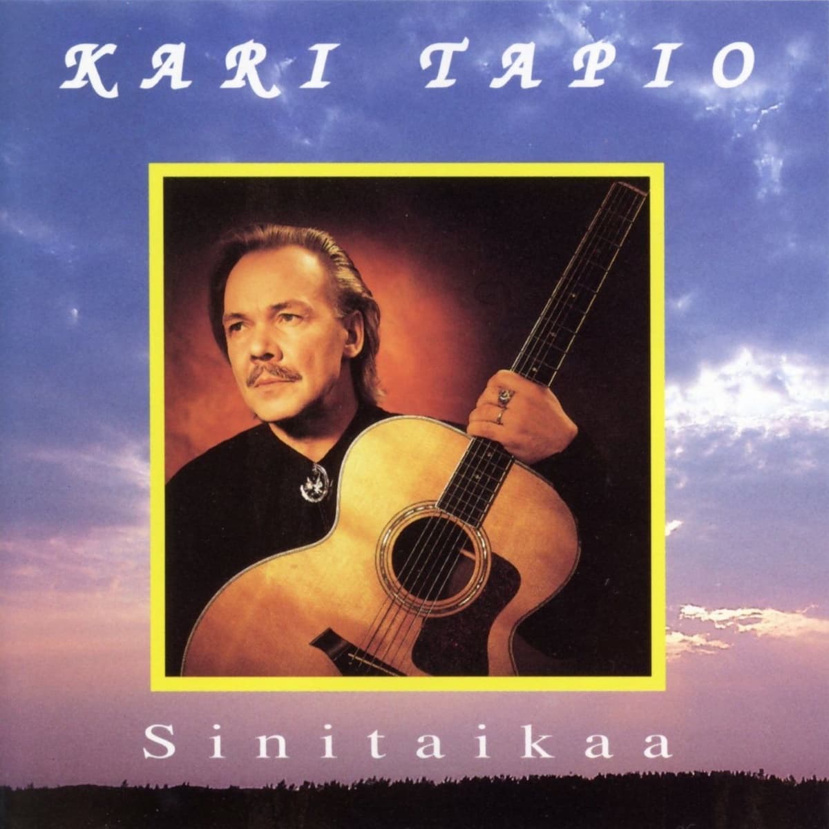 Sinitaikaa