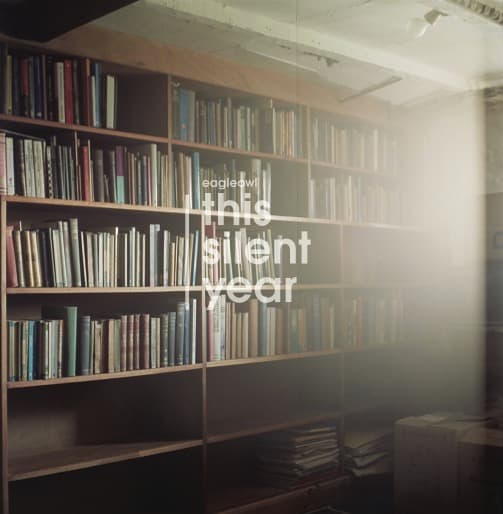 This Silent Year
