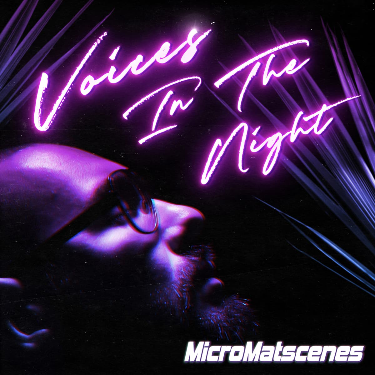 Voices in the Night