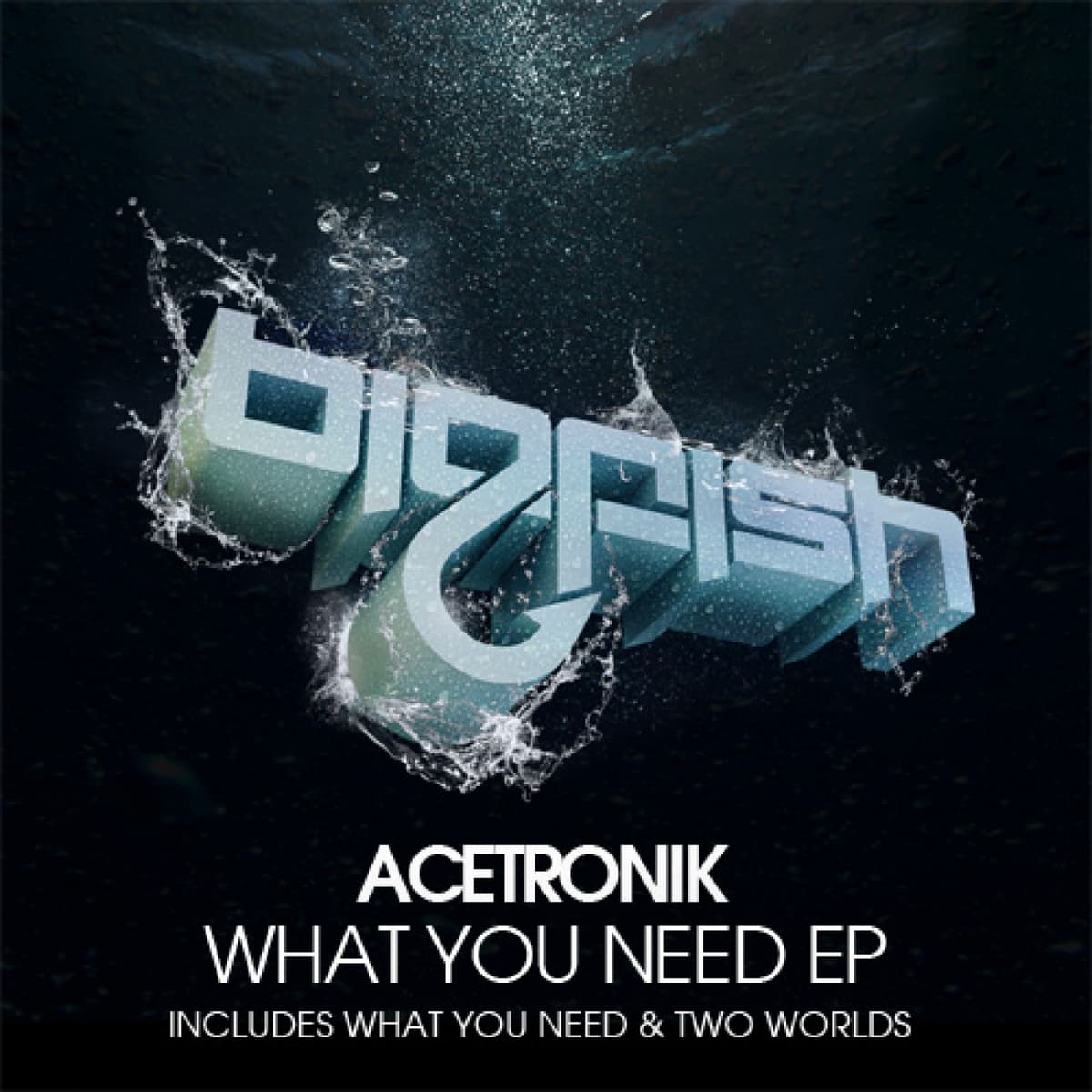 What You Need EP