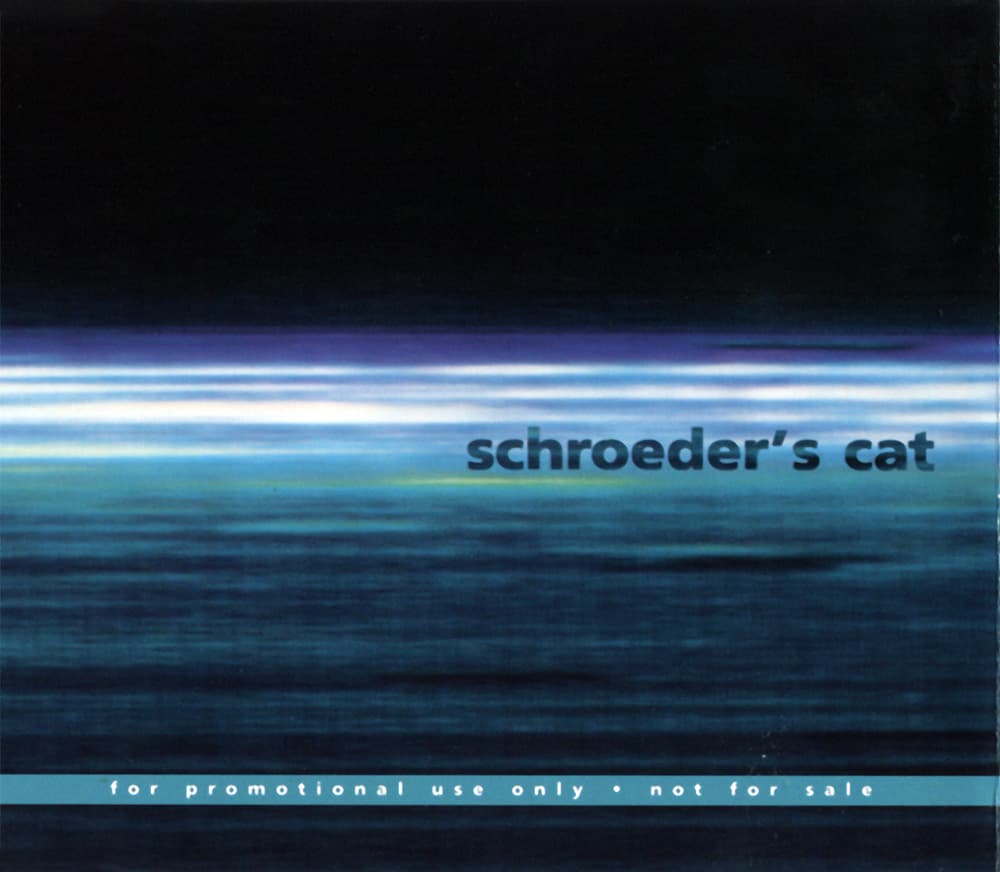 Schroeder's Cat