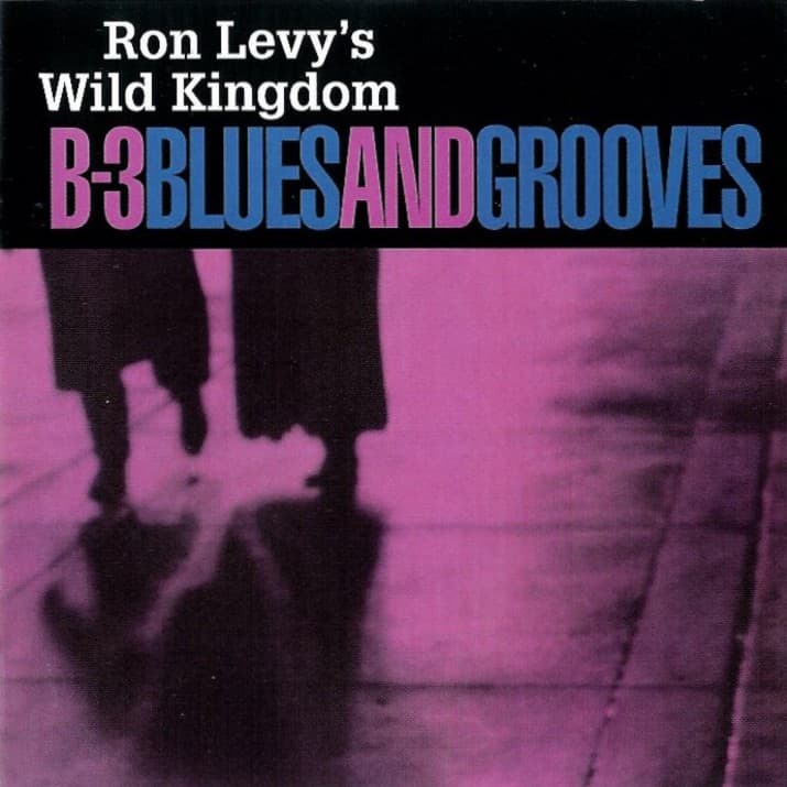 B-3 Blues and Grooves