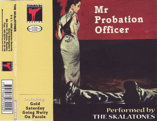 Mr Probation Officer