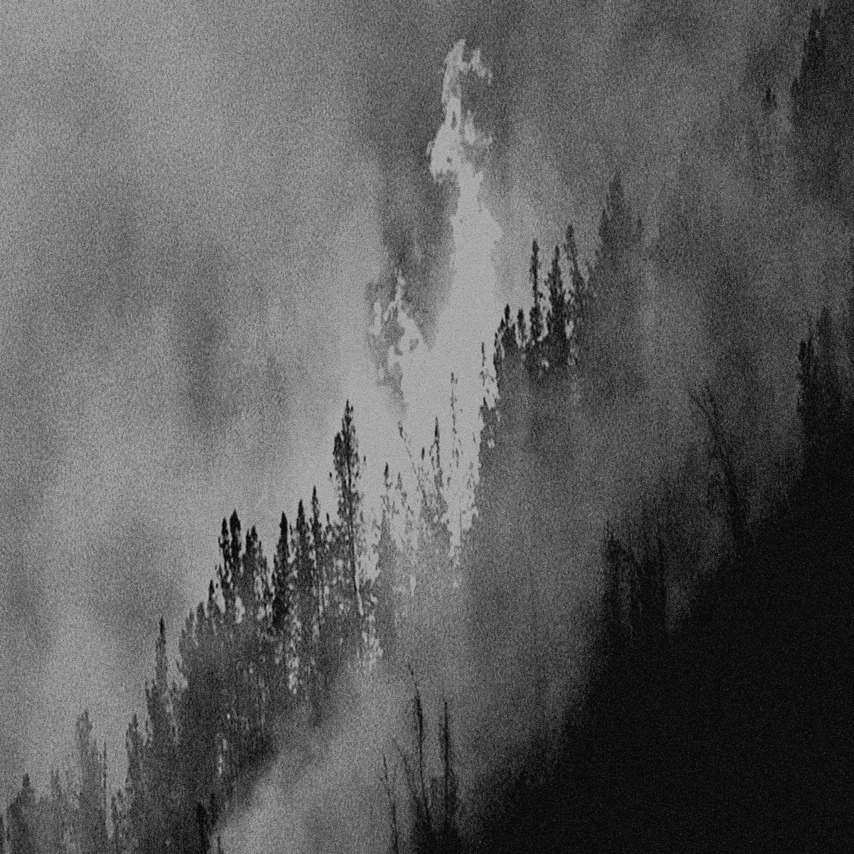 As the Northwest Burns and Smoke Chokes the Land