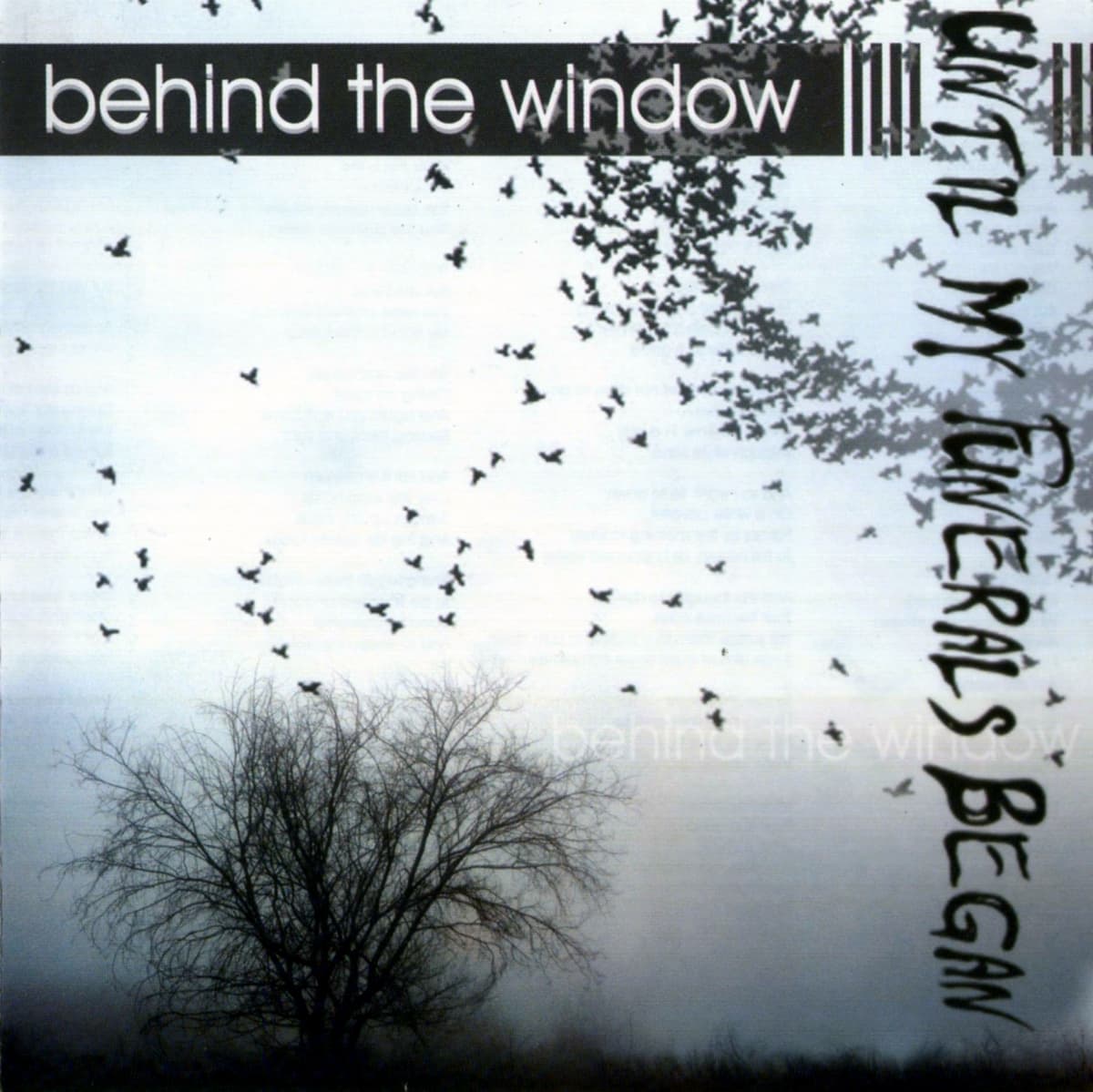Behind the Window