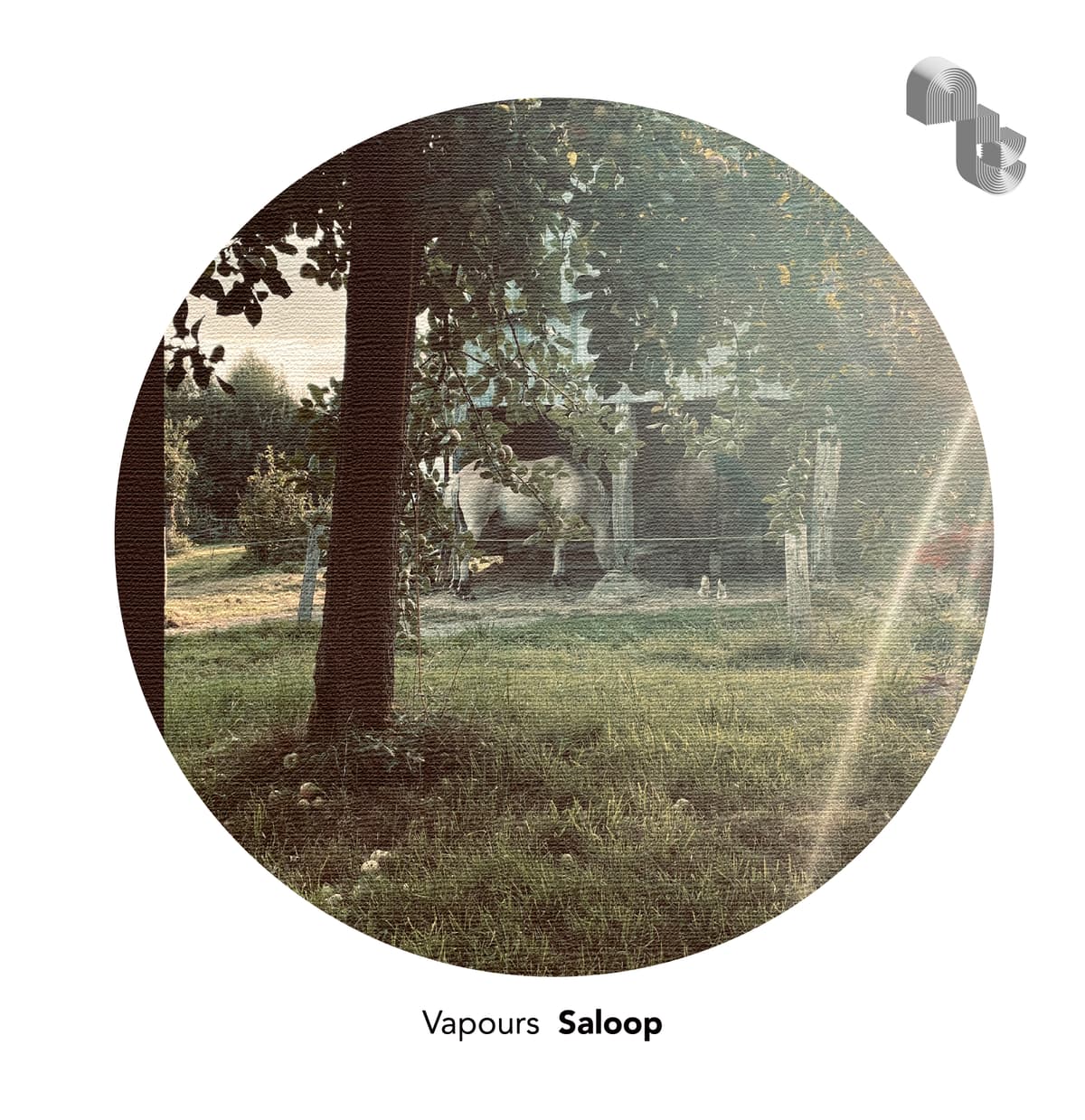Vapours