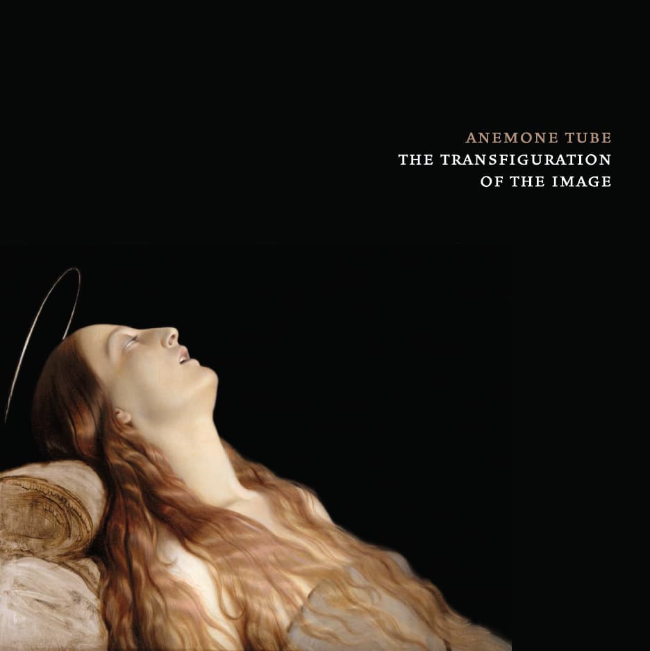 The Transfiguration of the Image