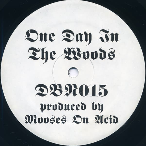 One Day in the Woods