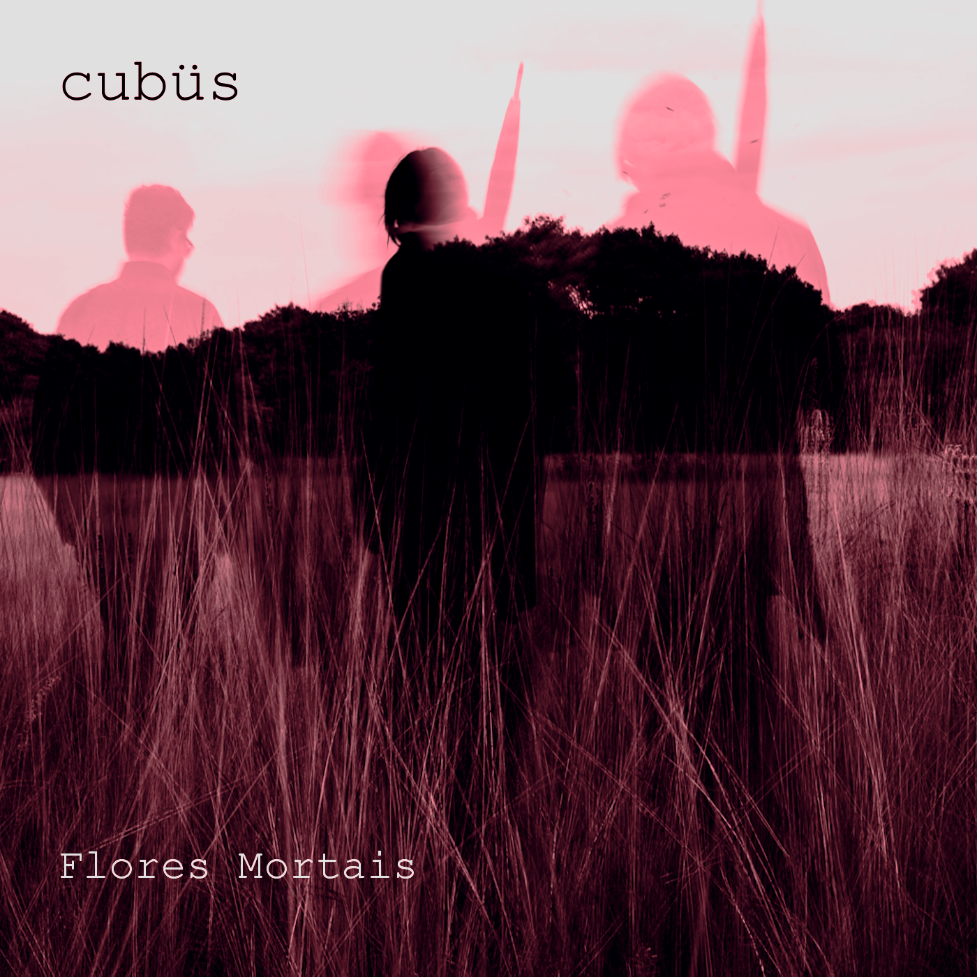 Flores Mortais
