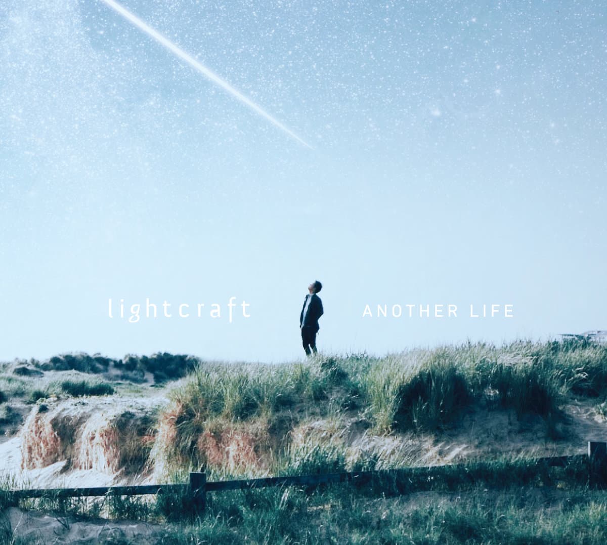 Another Life