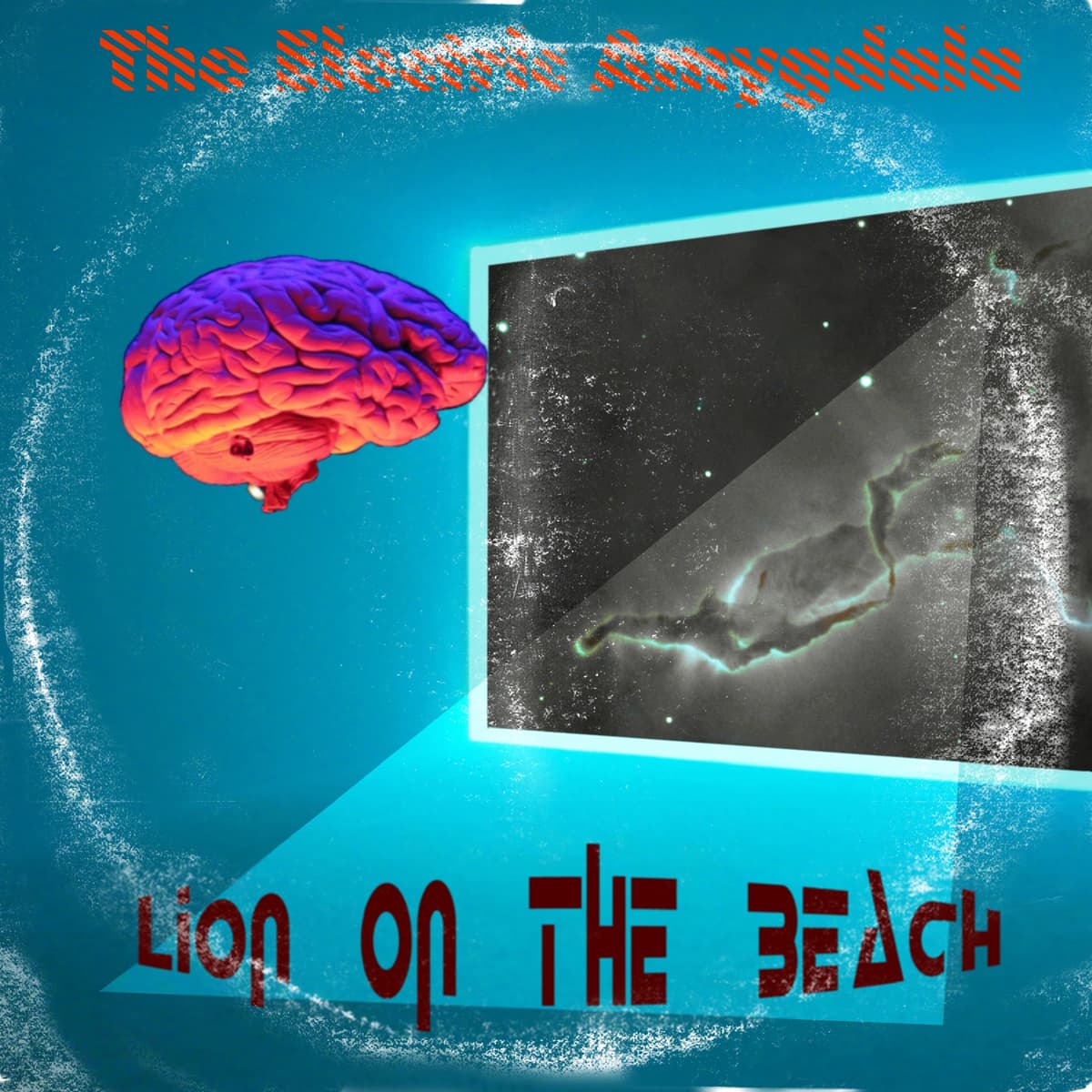 Lion on the Beach