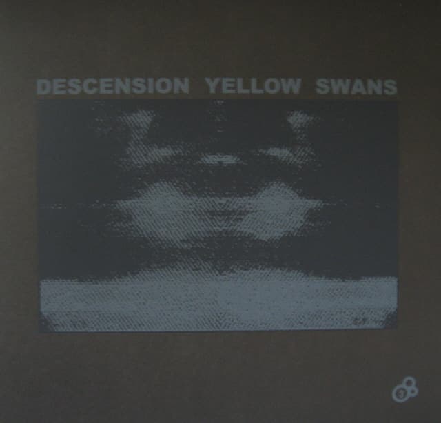 Descension Yellow Swans