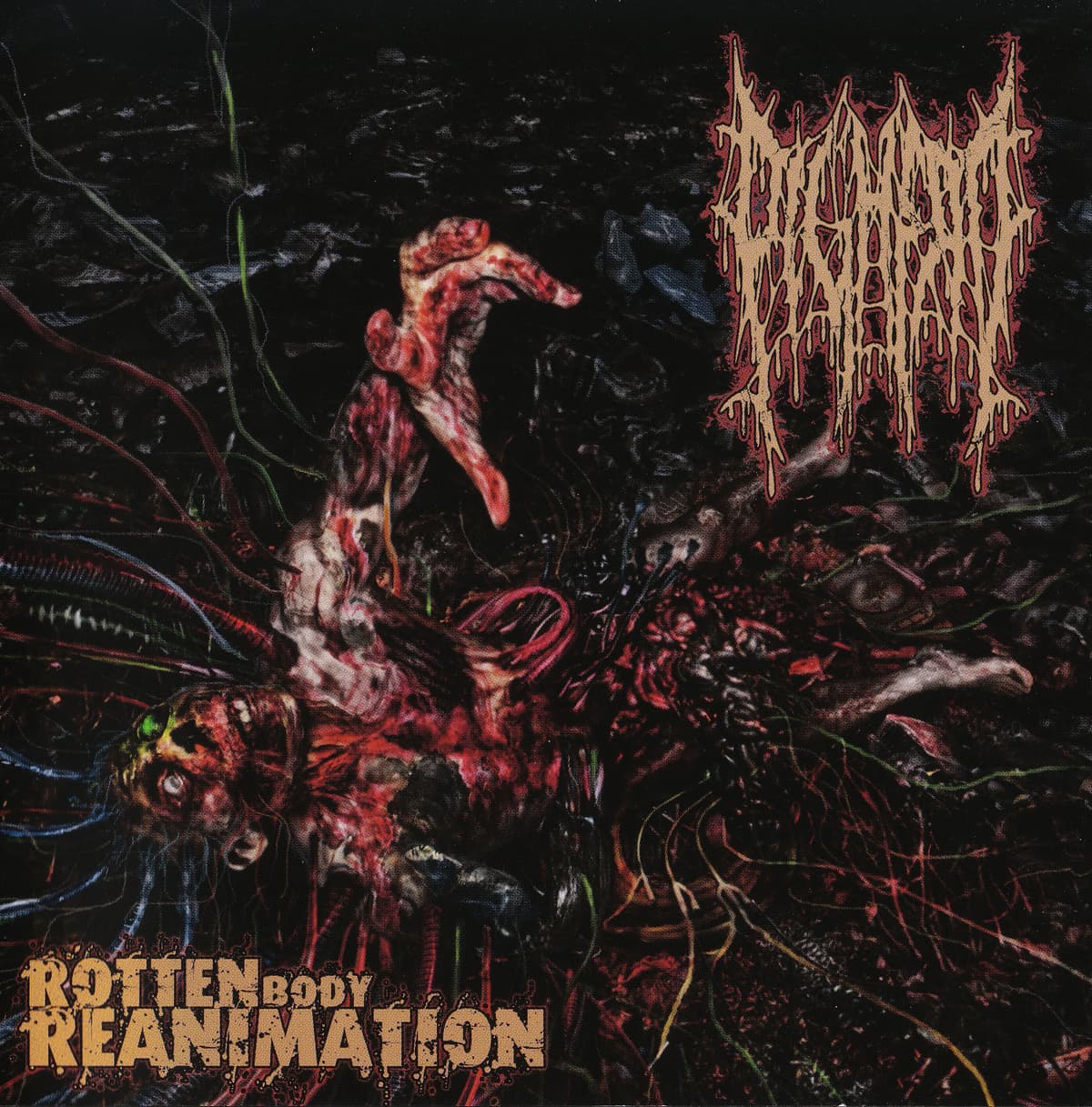 Rotten Body Reanimation