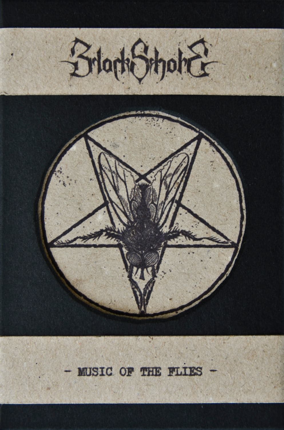 Music of the Flies