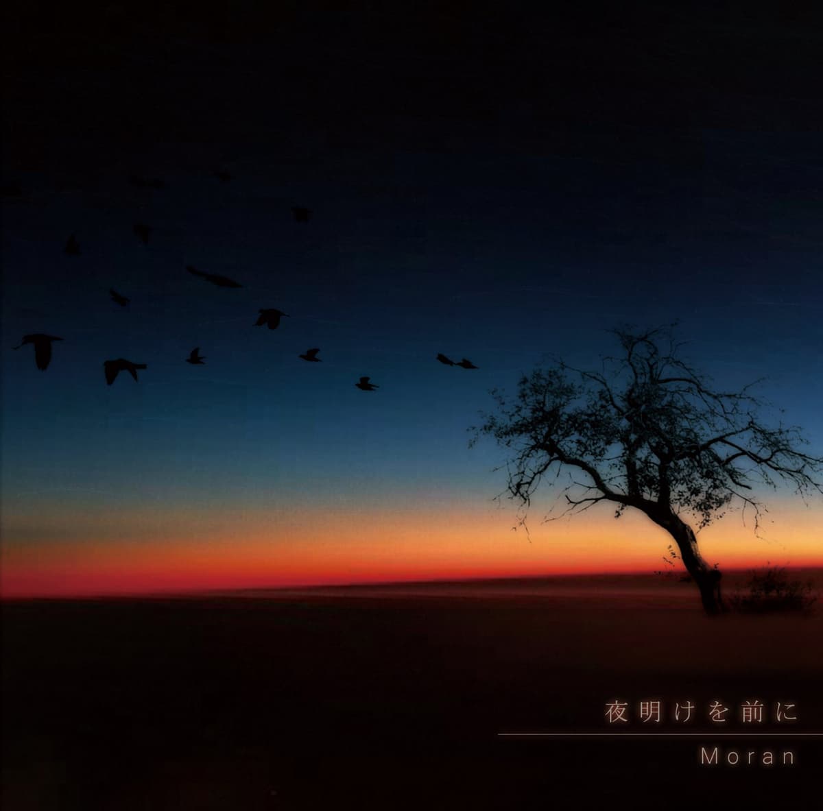 夜明けを前に
