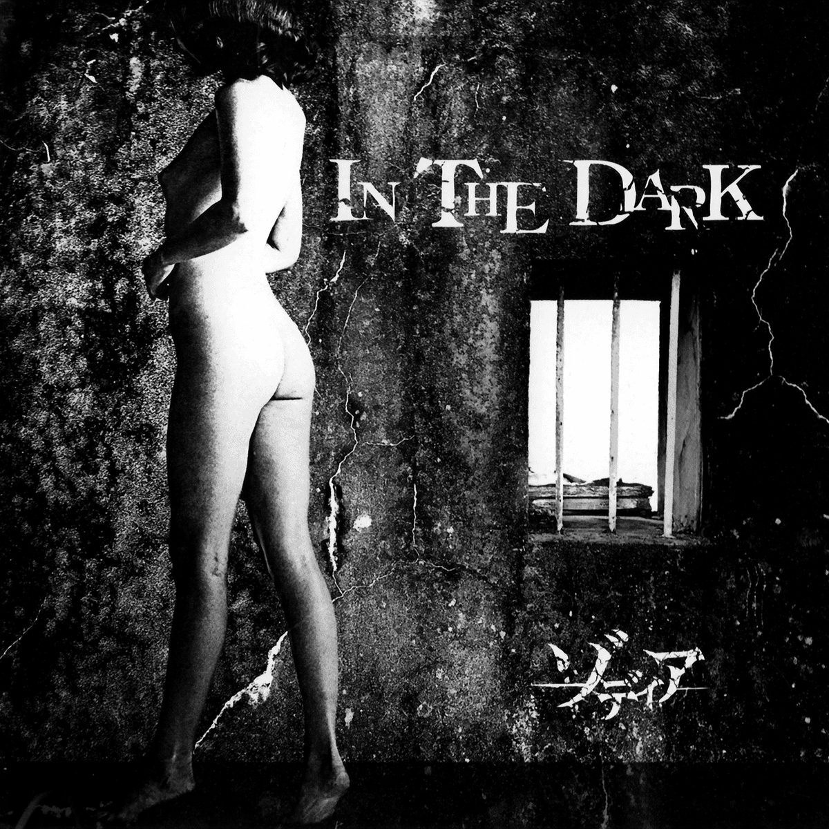 IN THE DARK