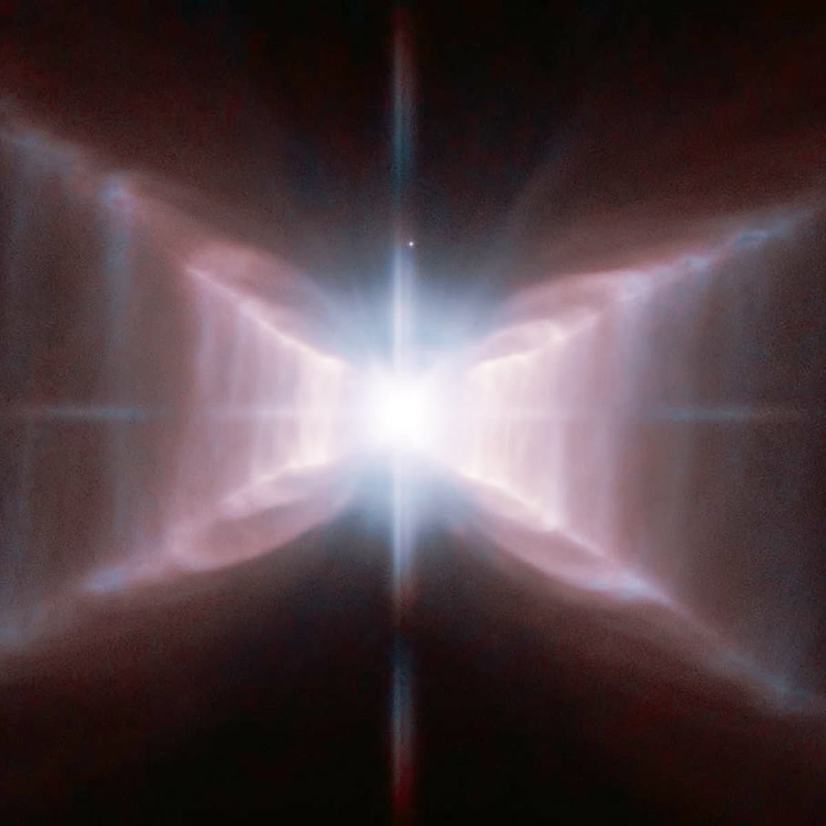 Pyralis