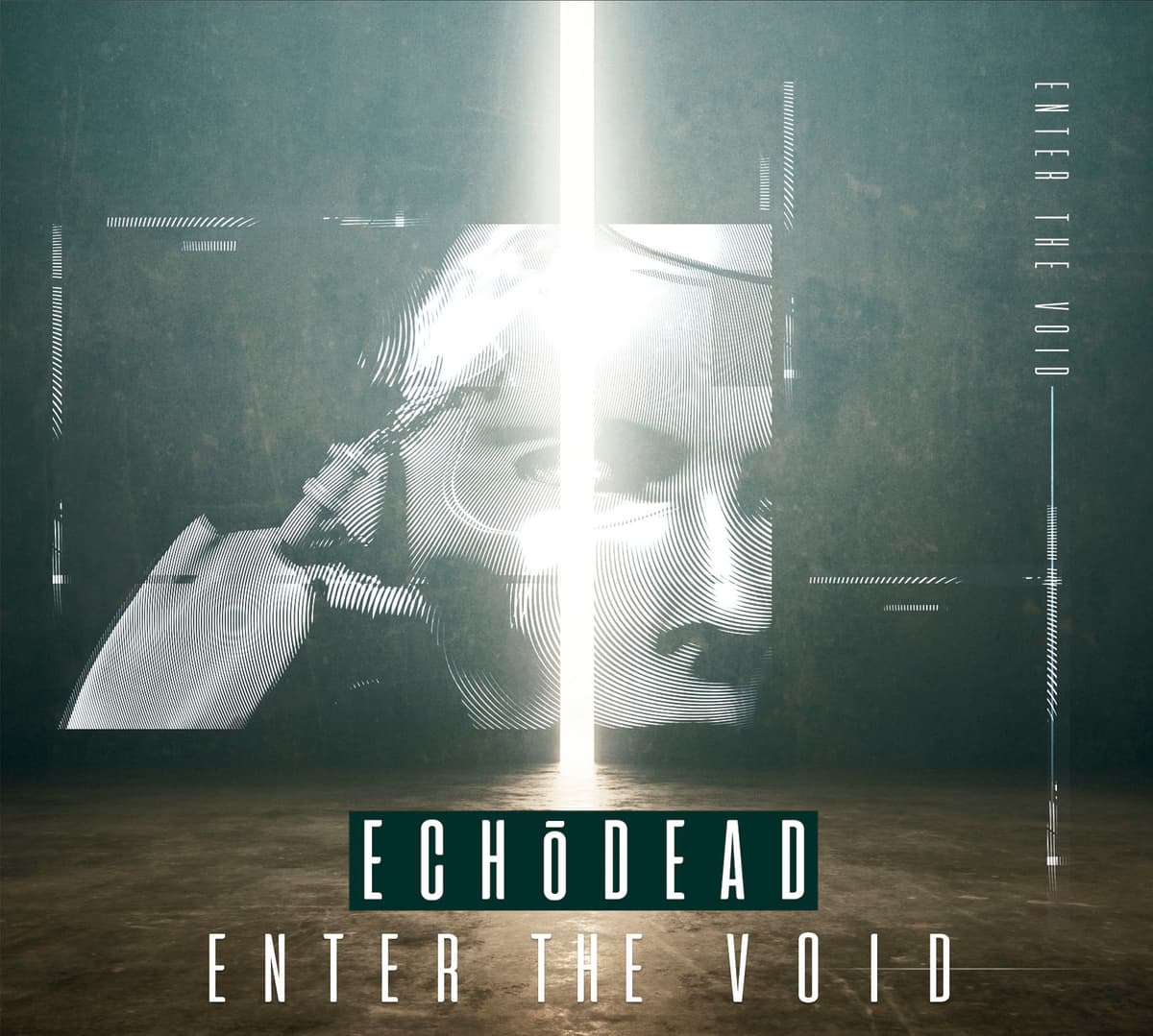 Enter the Void