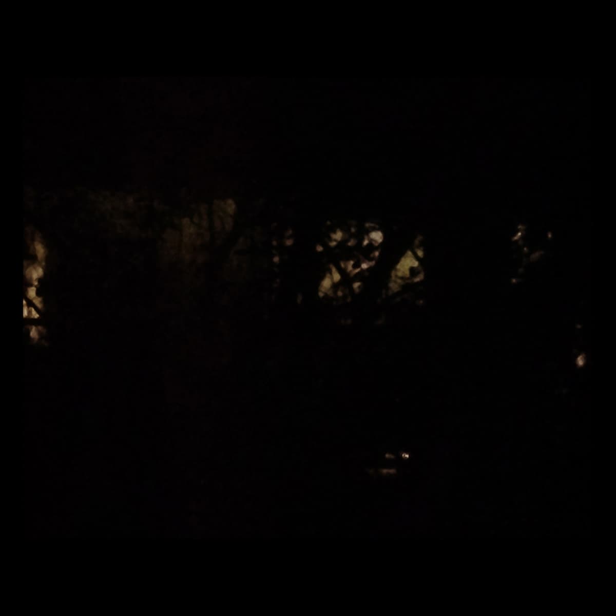 In Shadow's Country
