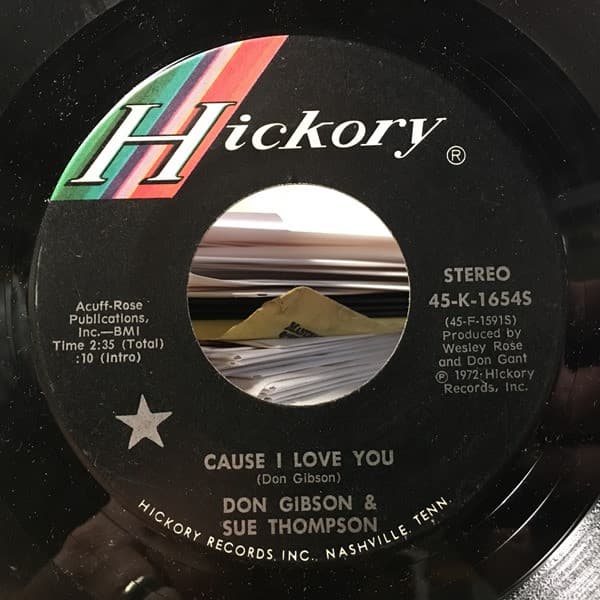 Cause I Love You