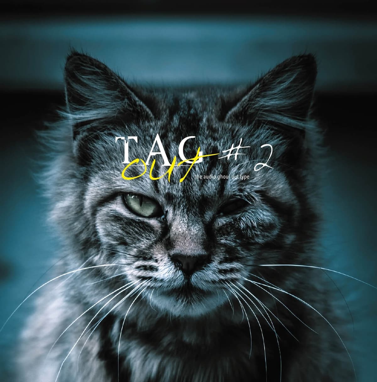 TAGout_#2