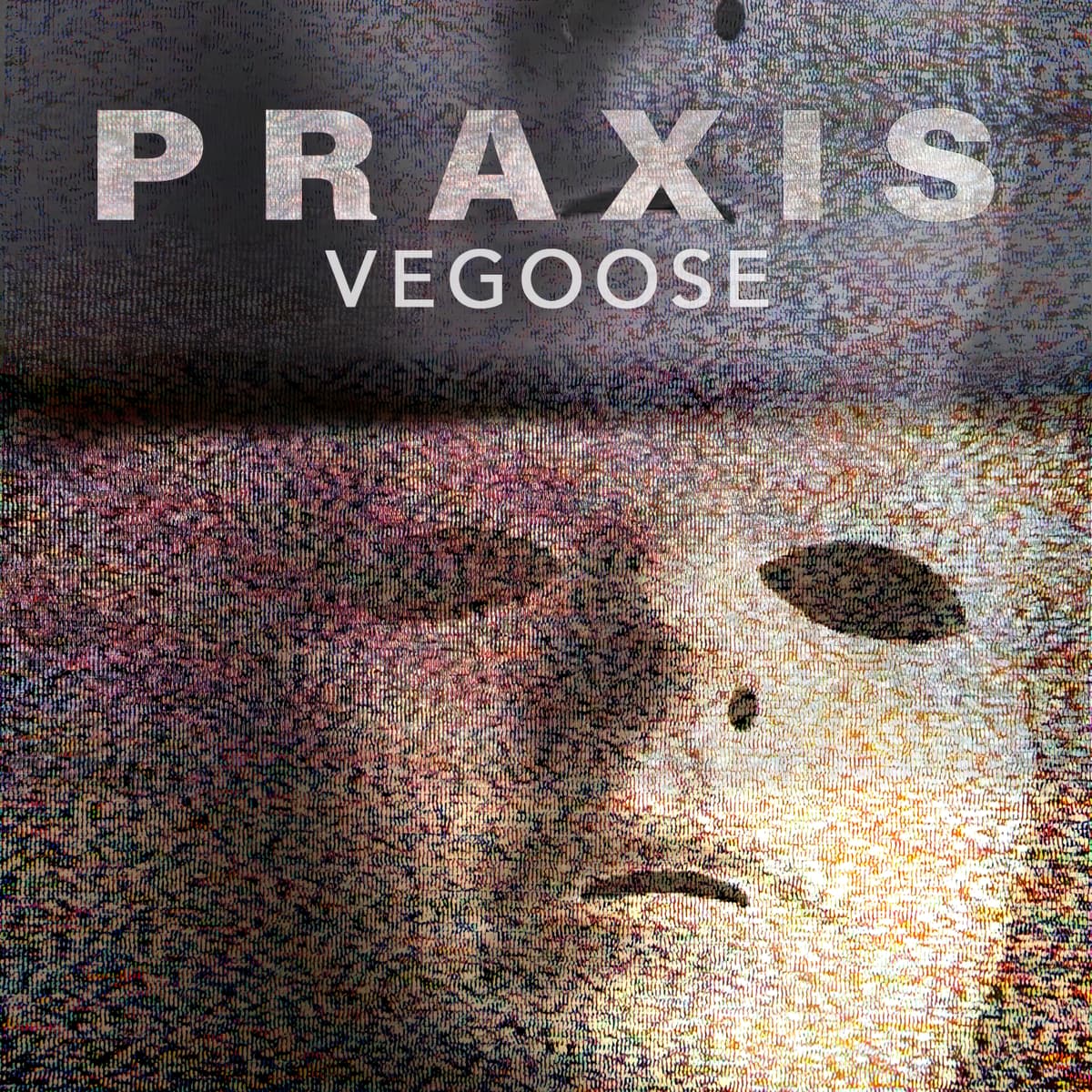 Vegoose