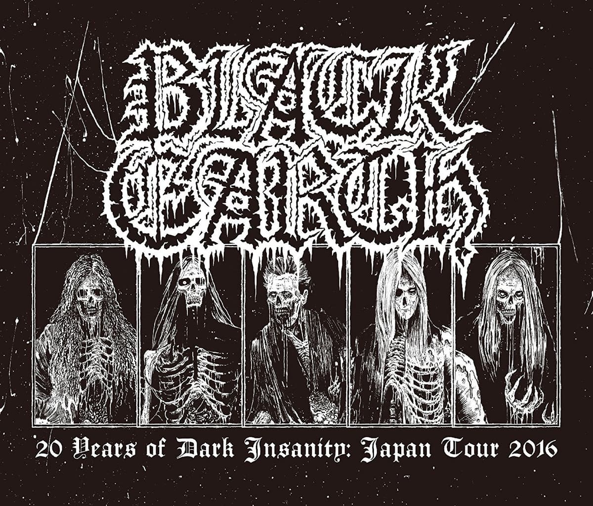 20 Years of Dark Insanity: Japan Tour 2016