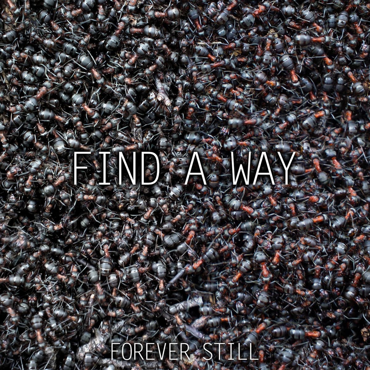 Find a Way