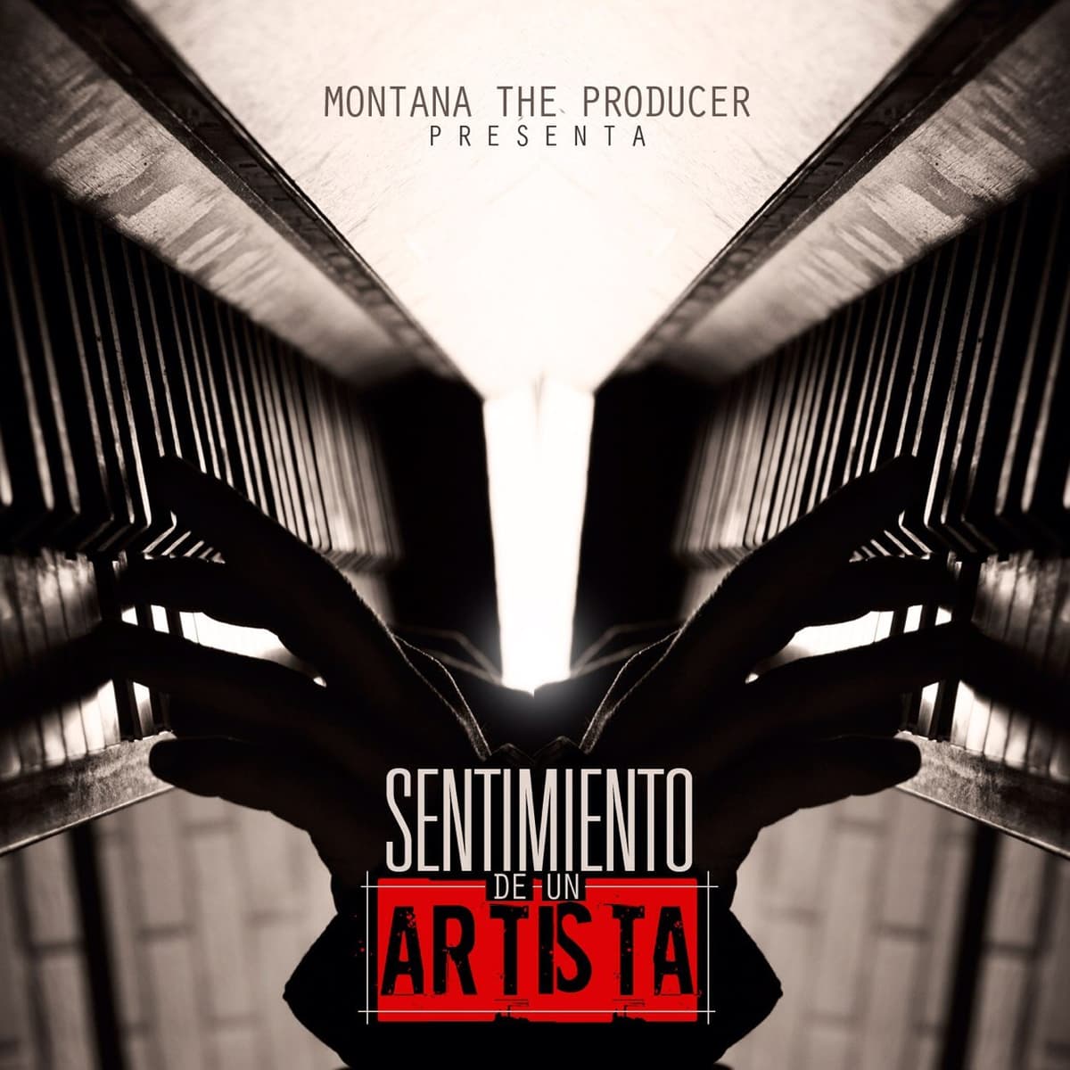 Sentimiento de un artista