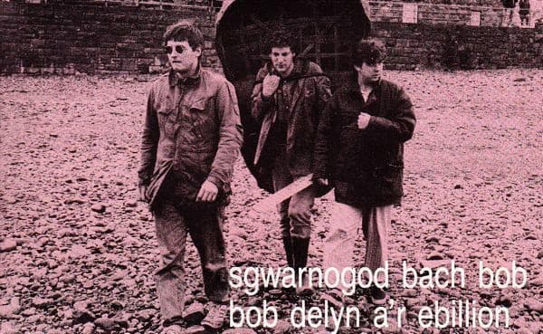 Sgwarnogod Bach Bob