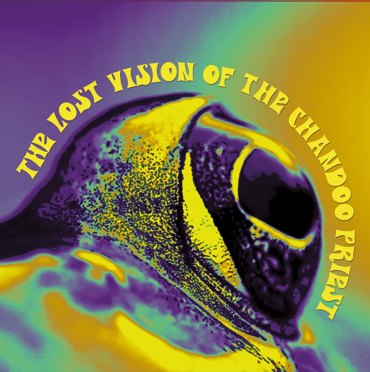 The Lost Vision of the Chandoo Priest