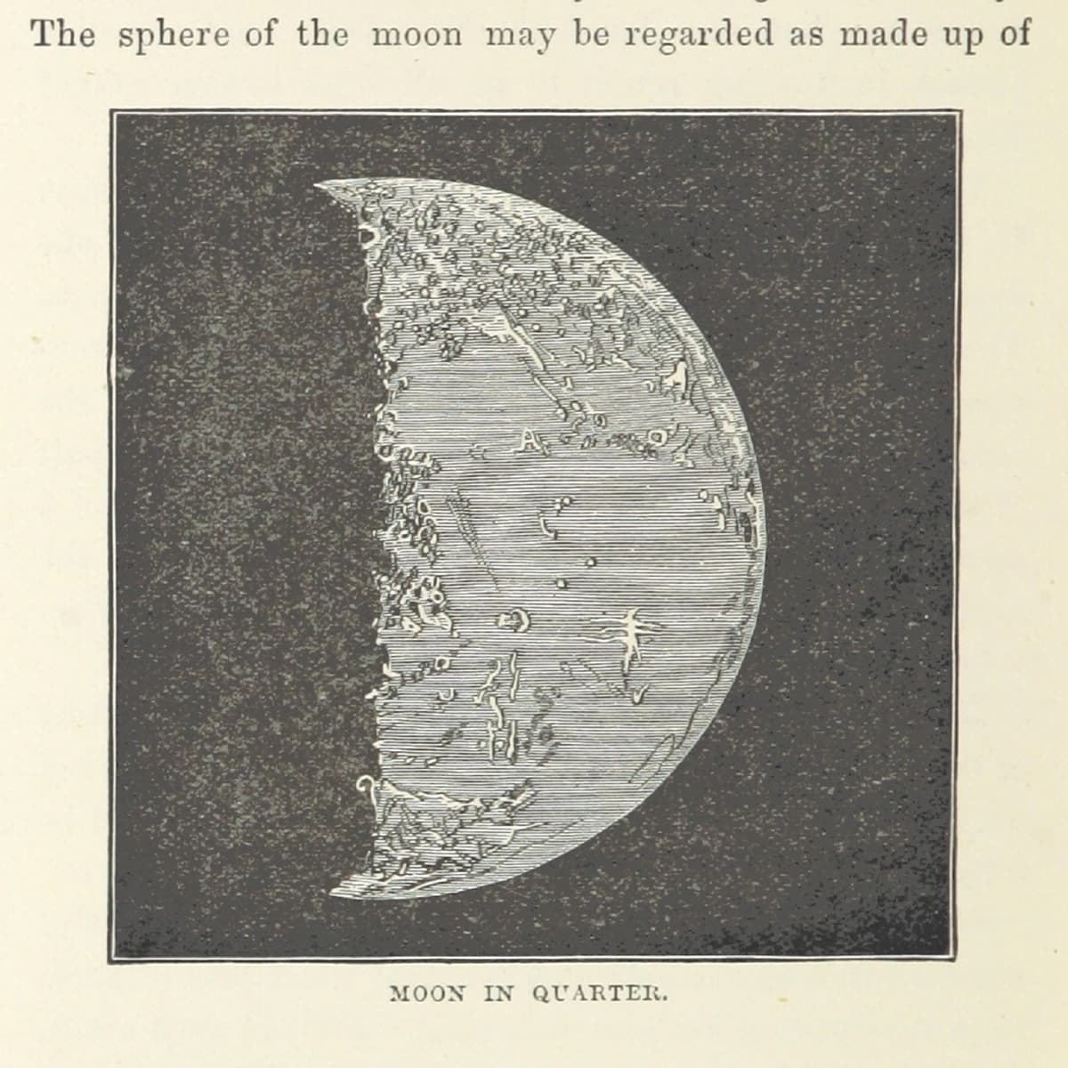 Moon in Quarter