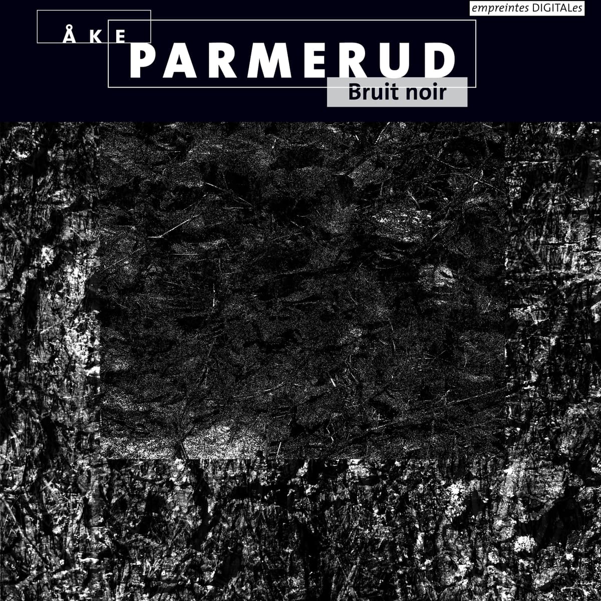 Bruit noir