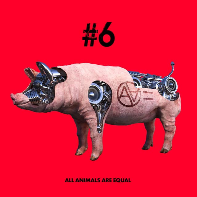 #6
