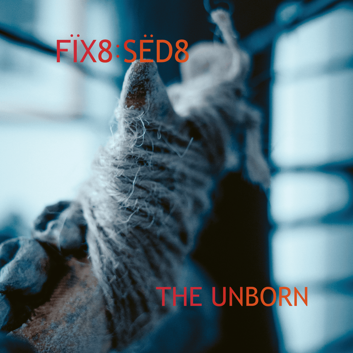 The Unborn