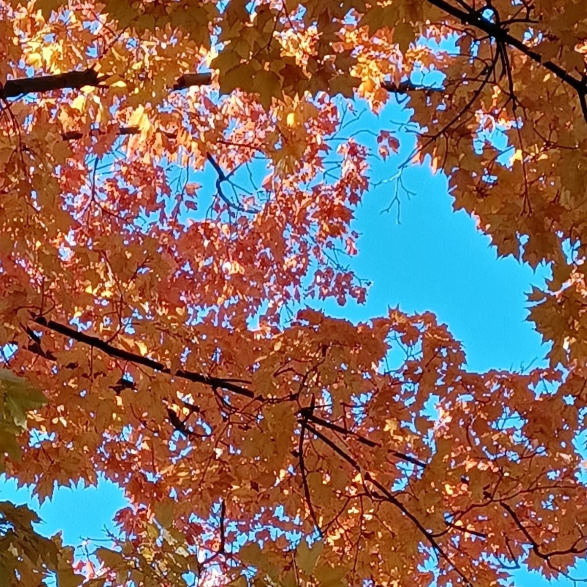 Last Days of Summer